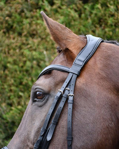 Rhinegold Softee Padded Leather Pro-Anatomical Bridle
With Flash Noseband