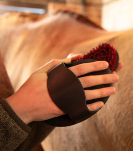 Premier Equine Rubber Curry Comb