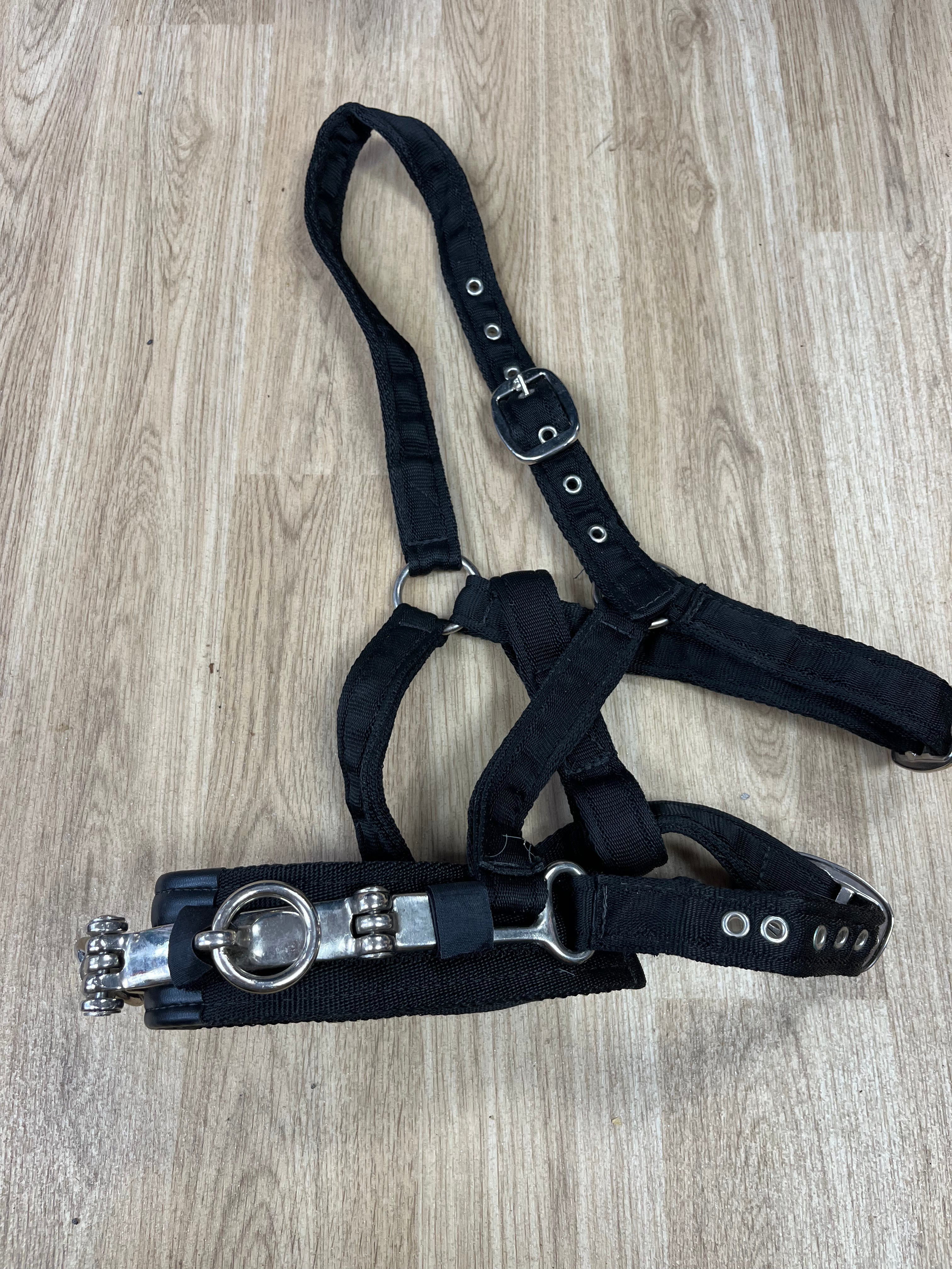 Lunging Cavisson Soft Webbing Full