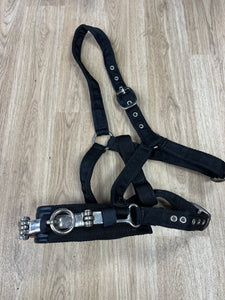 Lunging Cavisson Soft Webbing Full