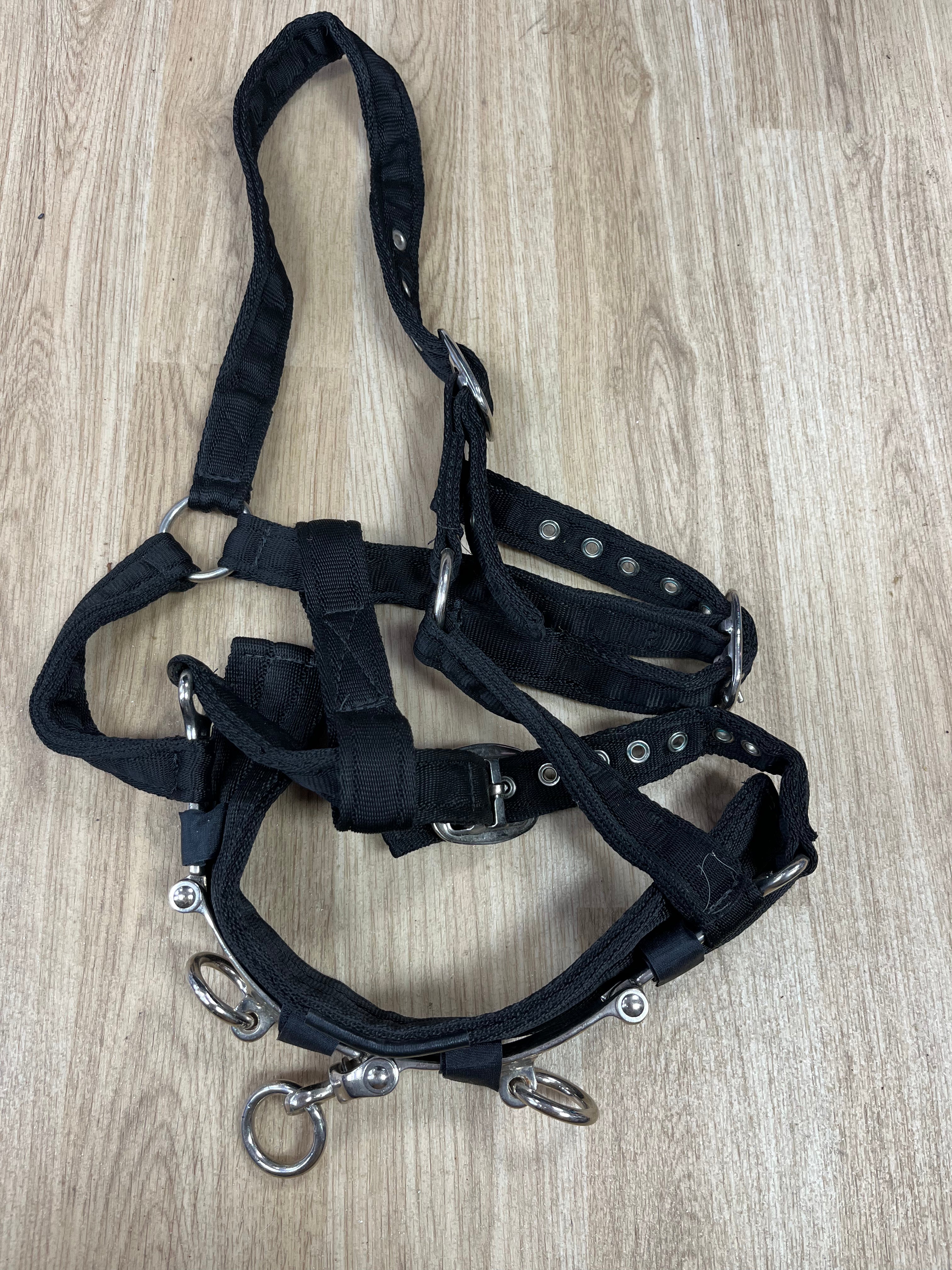 Lunging Cavisson Soft Webbing Full