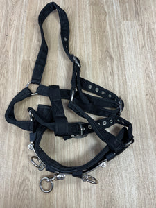 Lunging Cavisson Soft Webbing Full