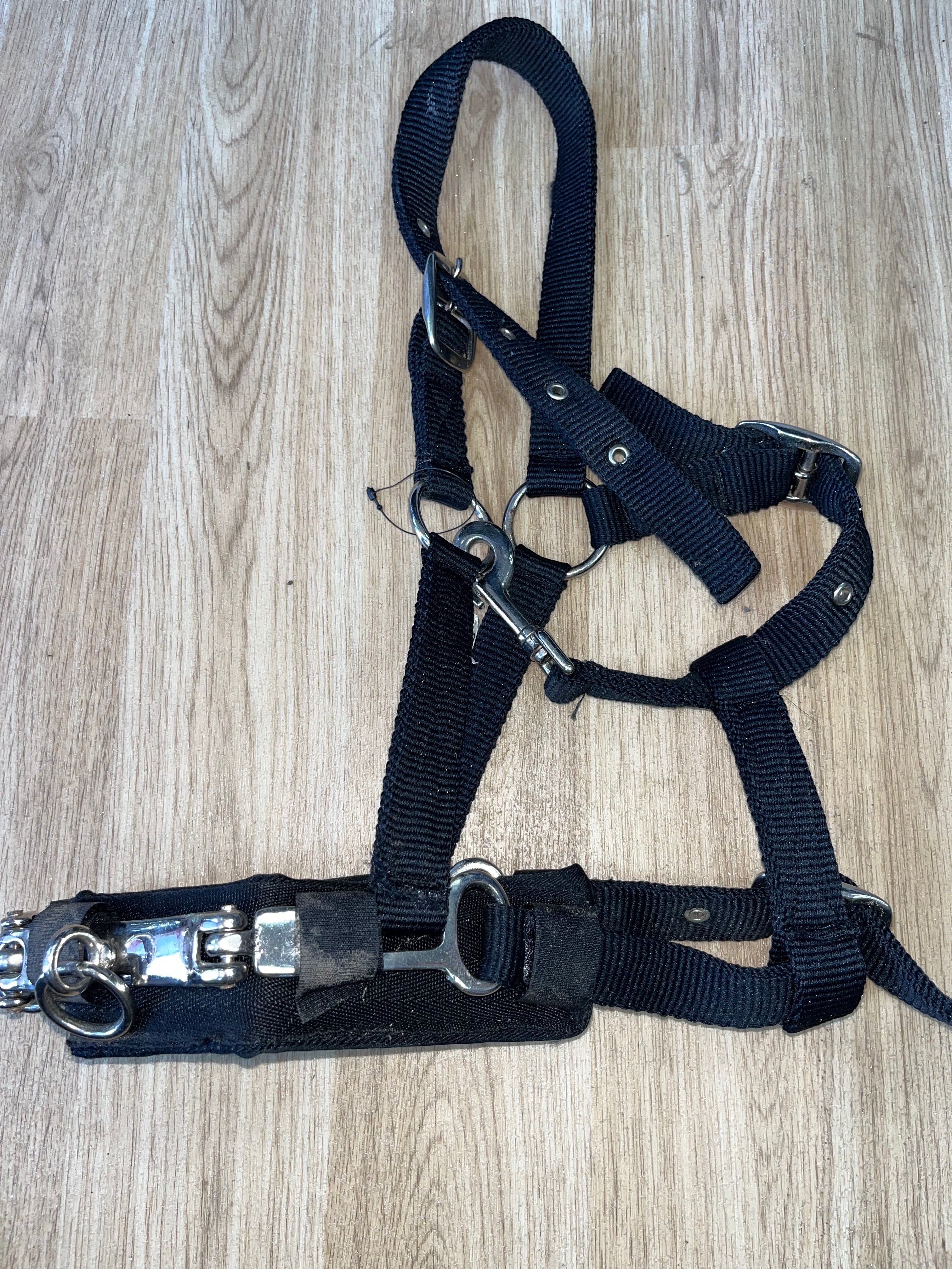 Lunging Cavisson Soft Webbing Cob