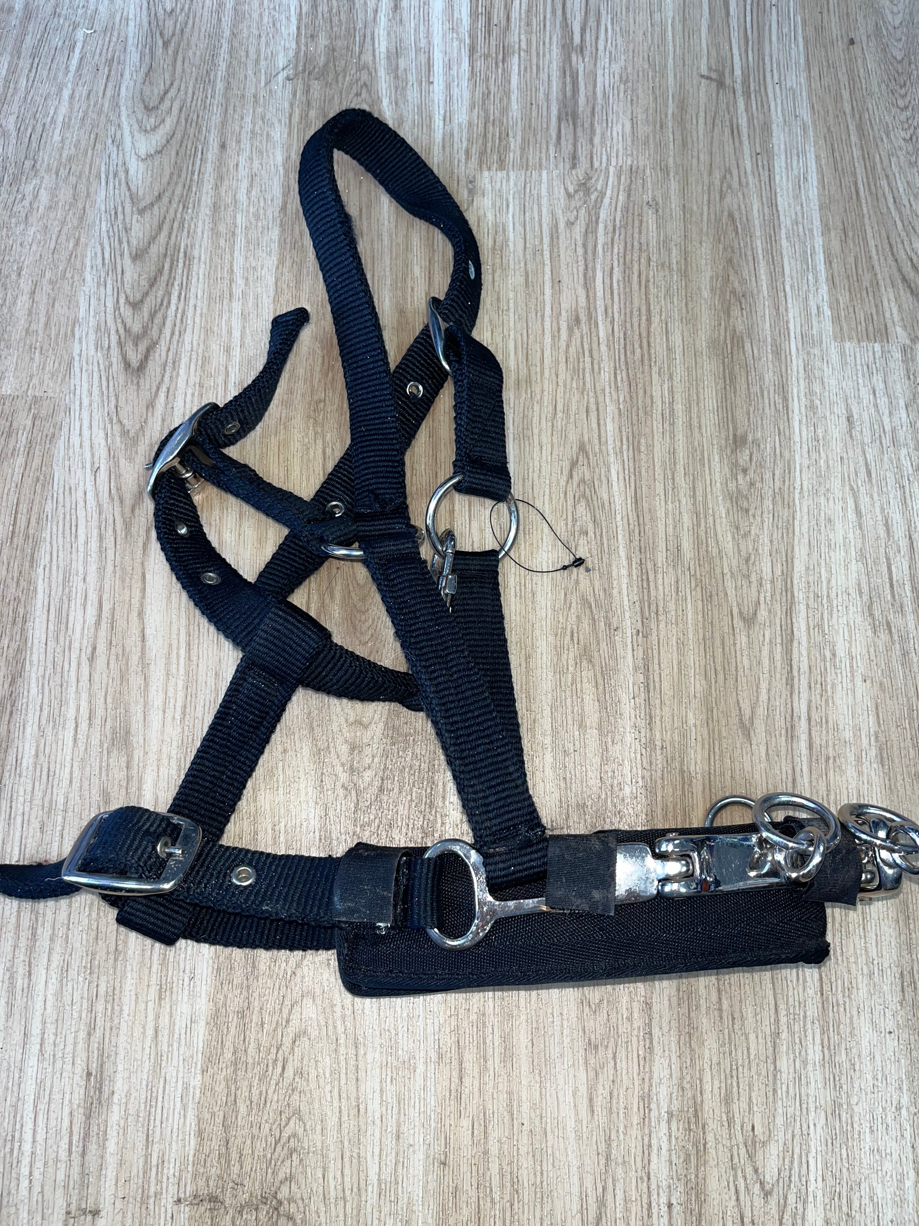 Lunging Cavisson Soft Webbing Cob