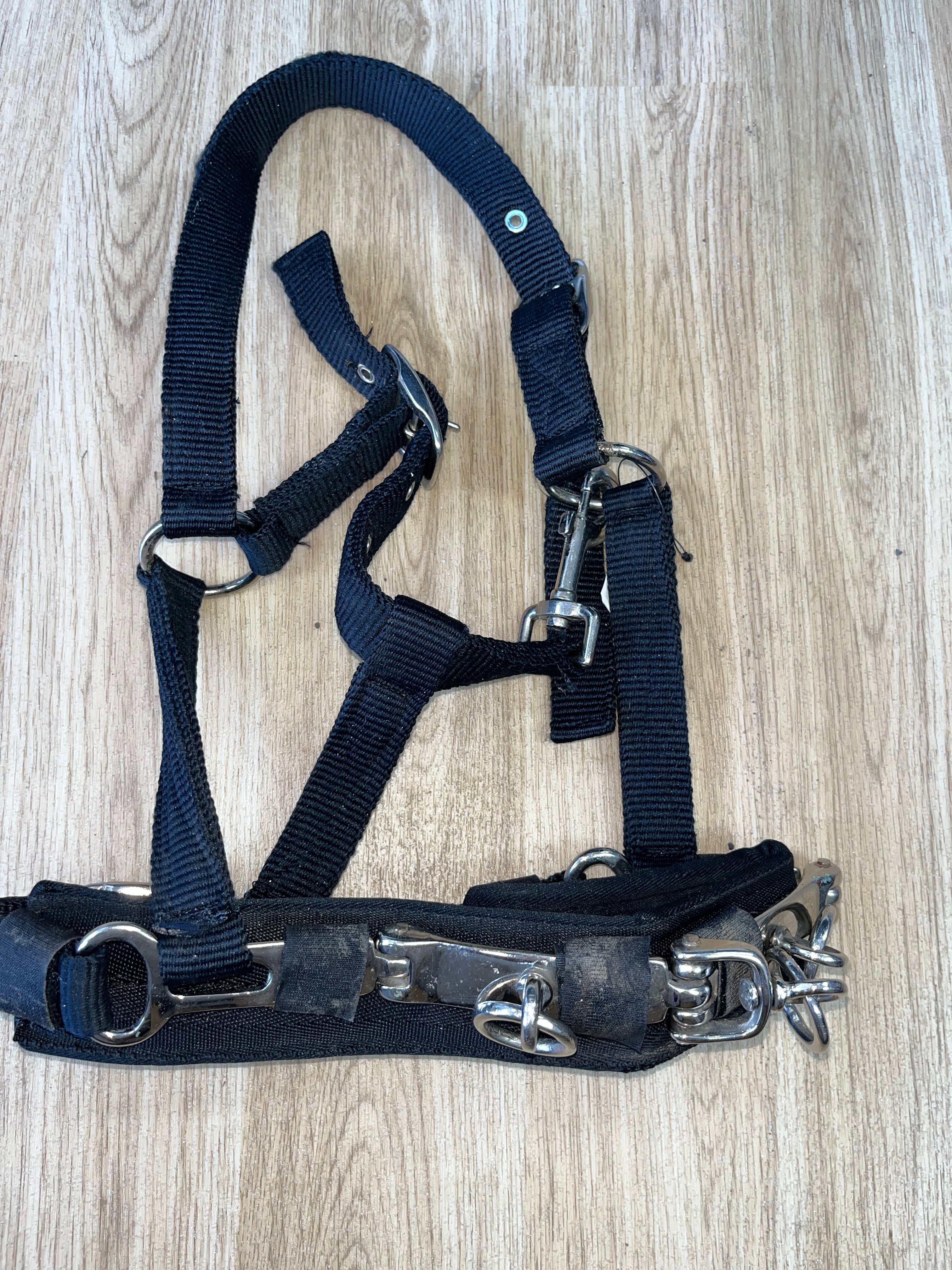 Lunging Cavisson Soft Webbing Cob