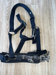 Lunging Cavisson Soft Webbing Cob