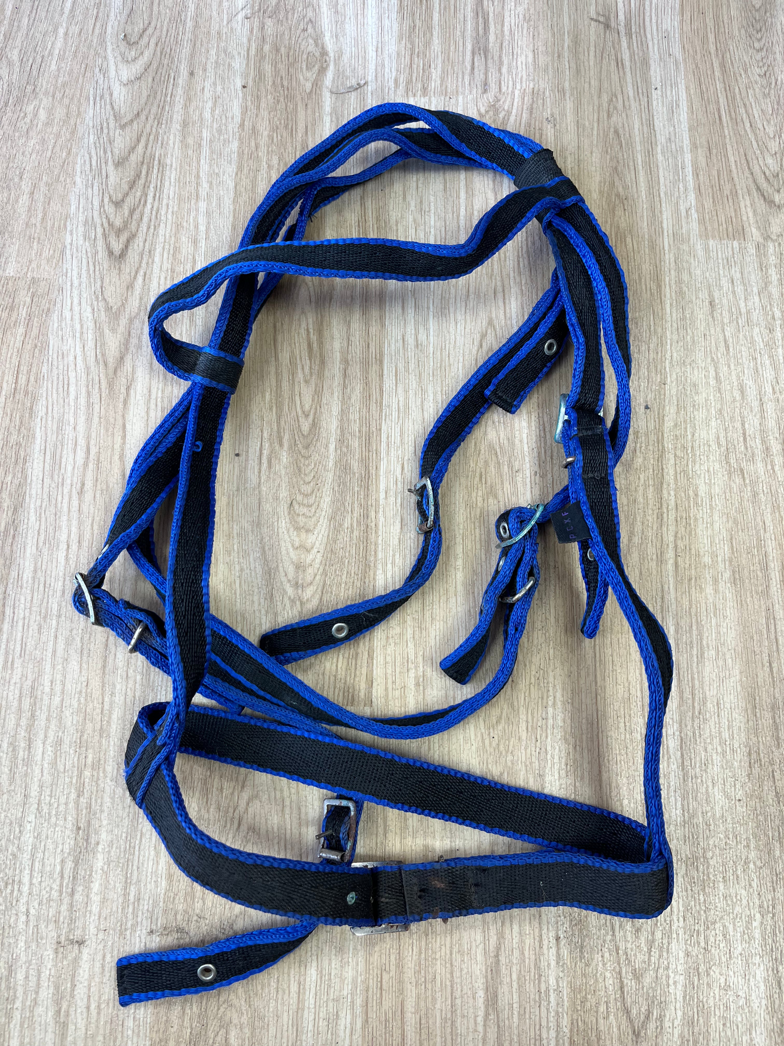 Libbys Full Bridle / Reins Soft Webbing