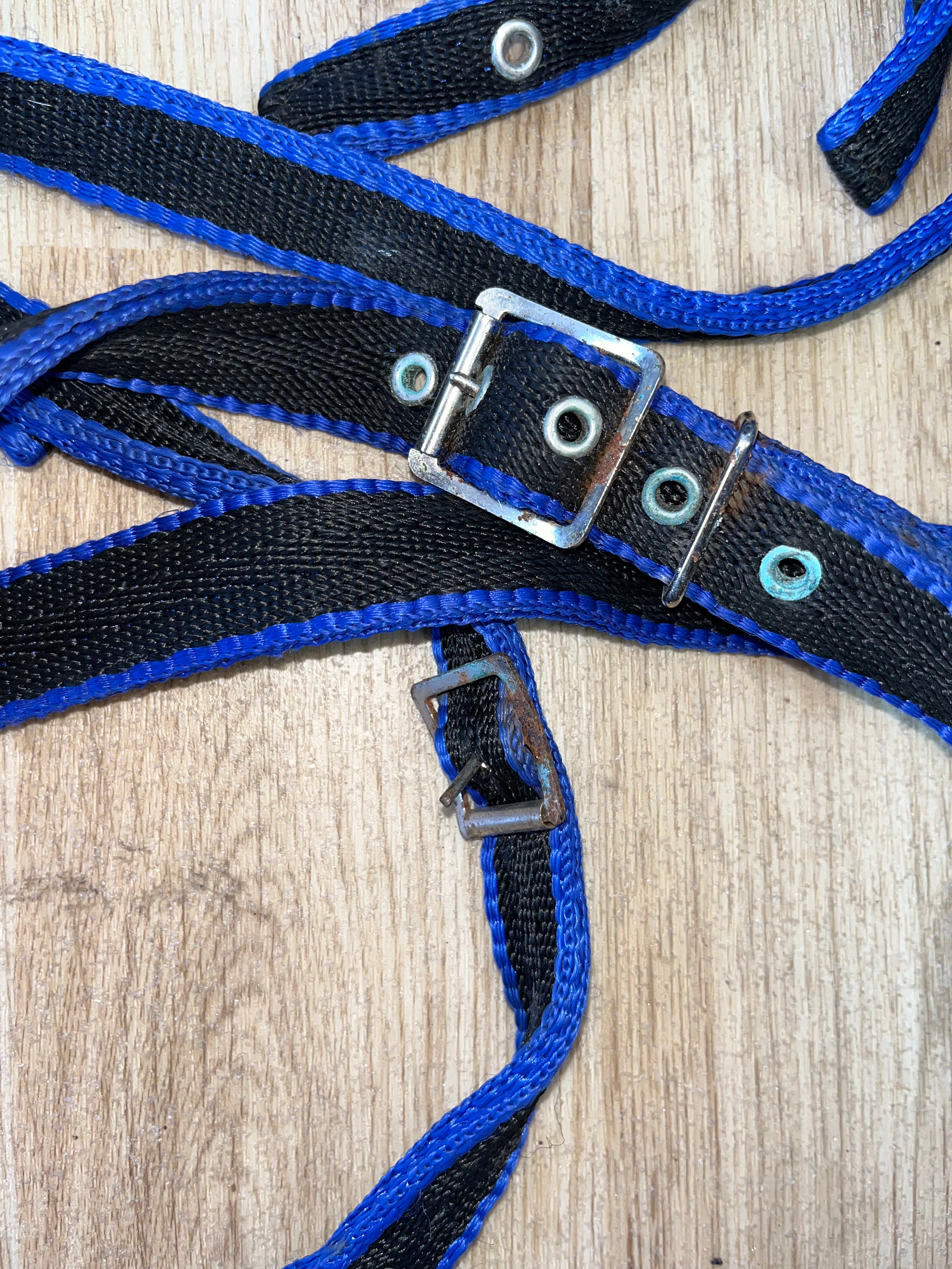 Libbys Full Bridle / Reins Soft Webbing