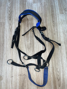 Superior Bitless Bridle Webbing Pony