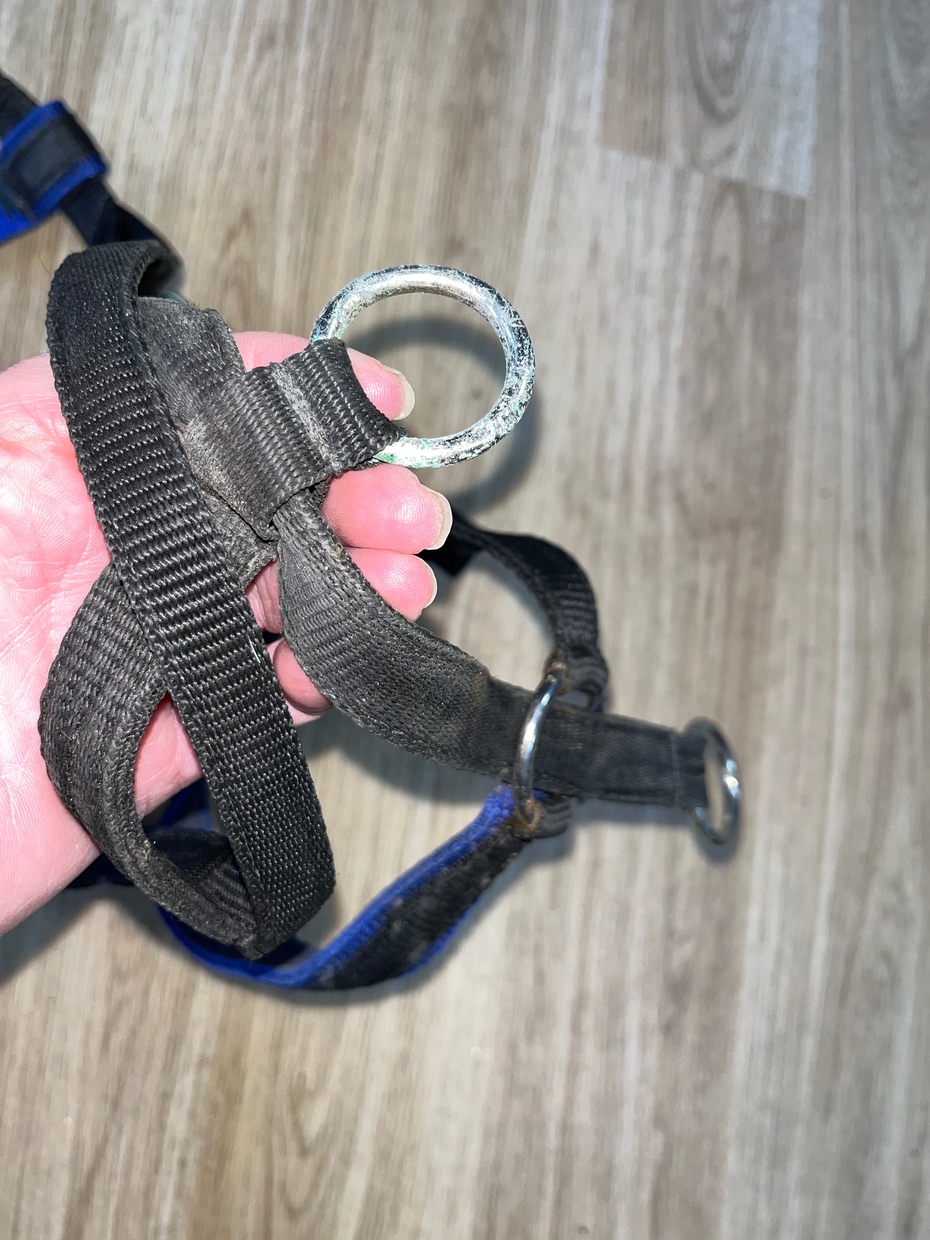 Superior Bitless Bridle Webbing Pony