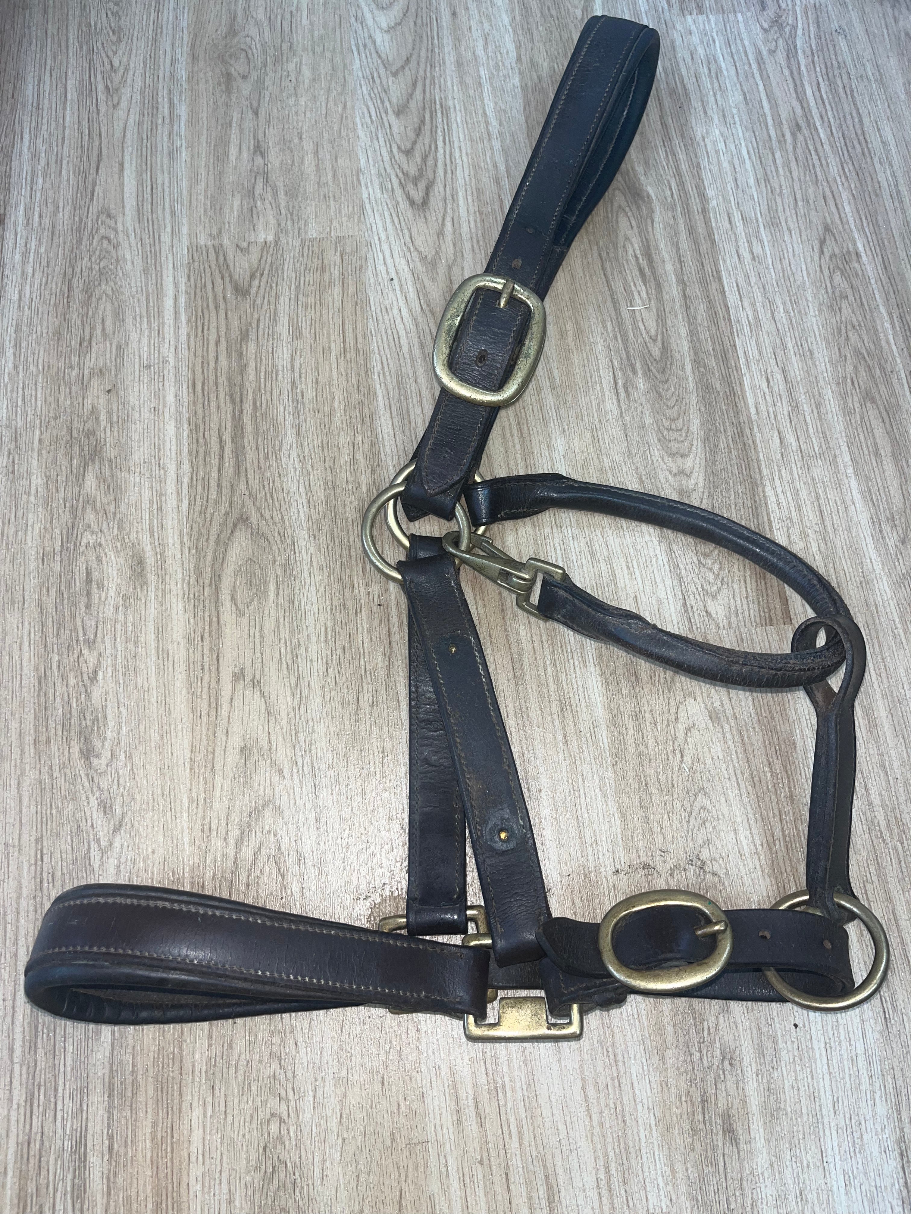 Leather Brown Headcollar Full