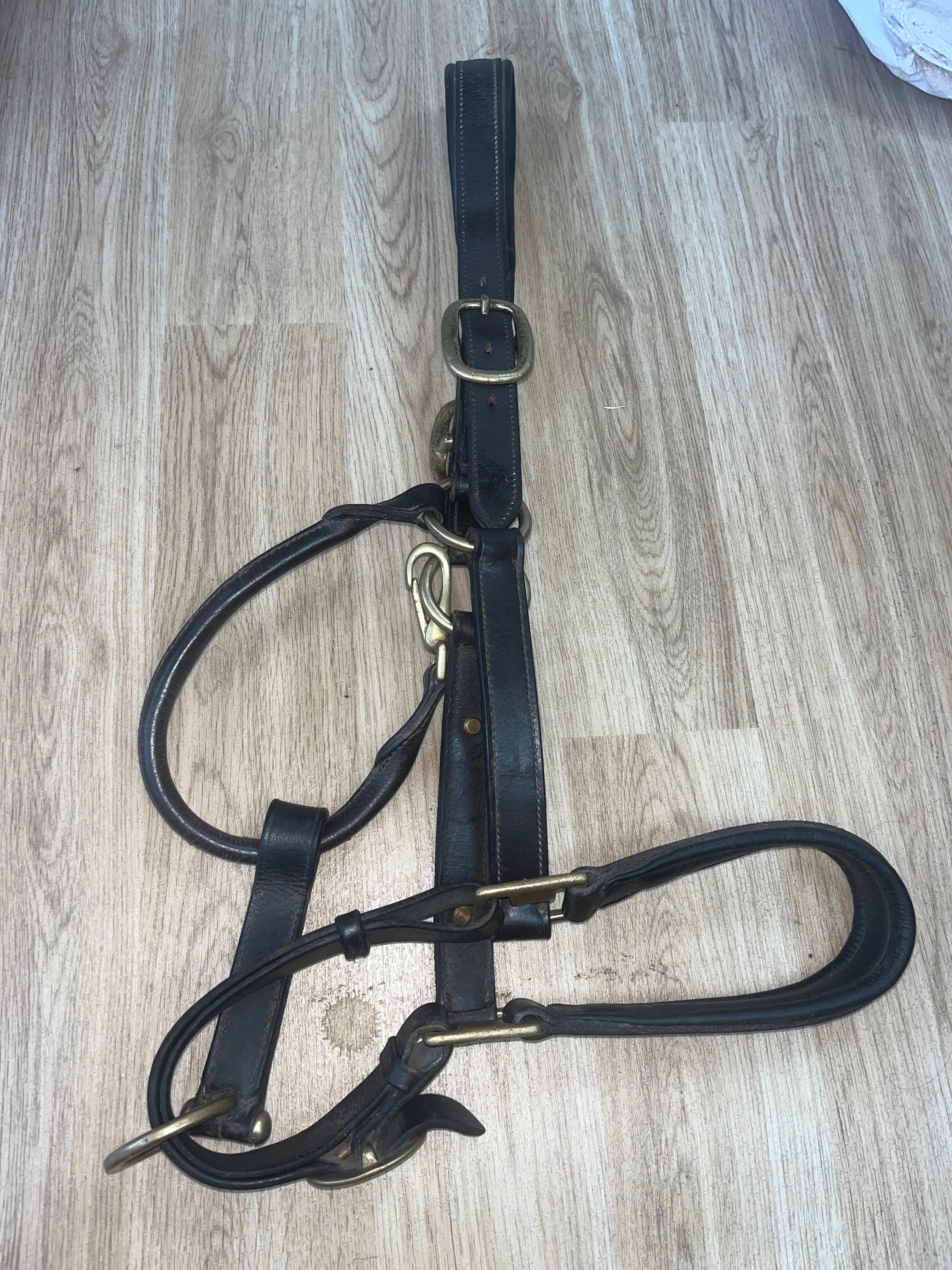 Leather Brown Headcollar Full