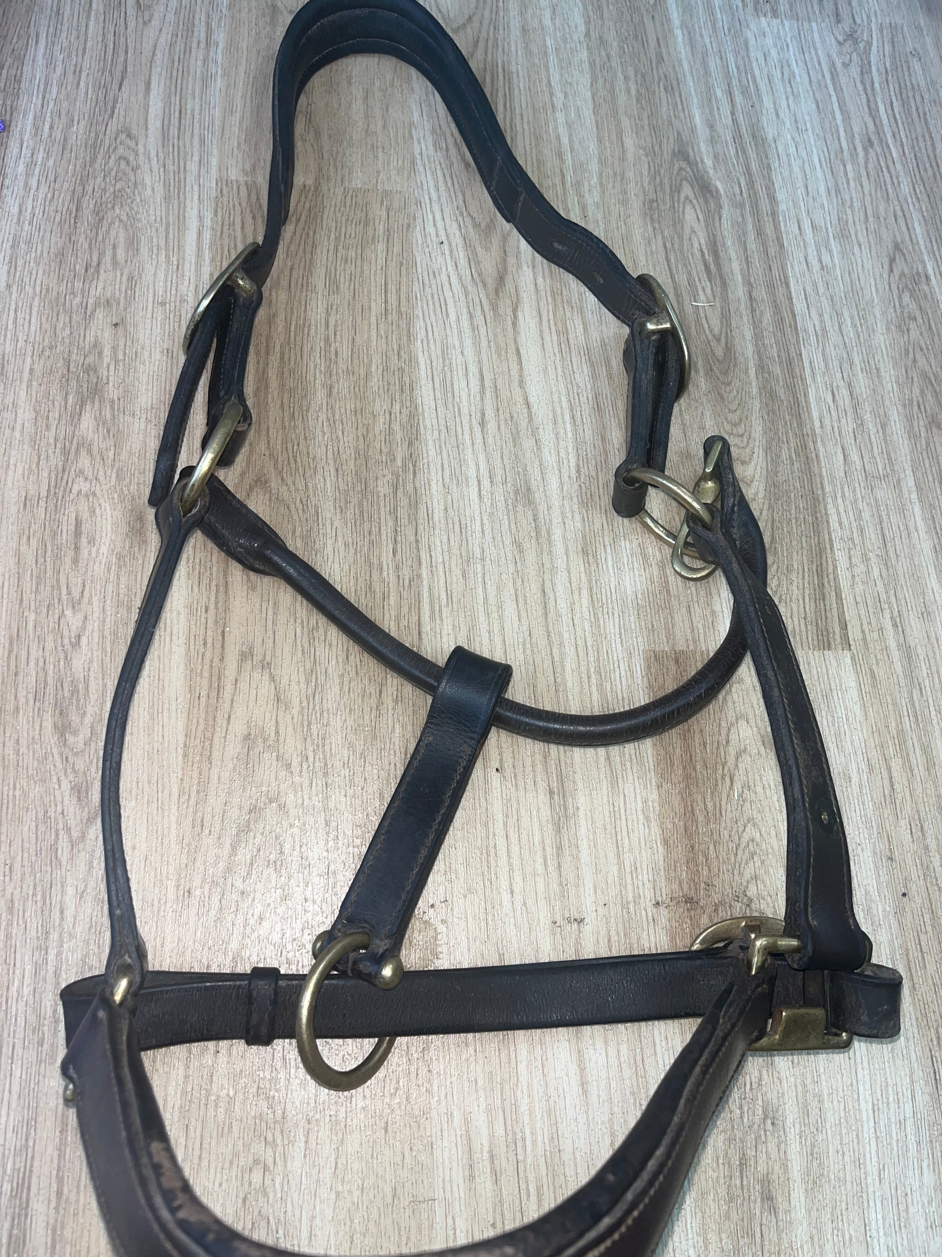 Leather Brown Headcollar Full