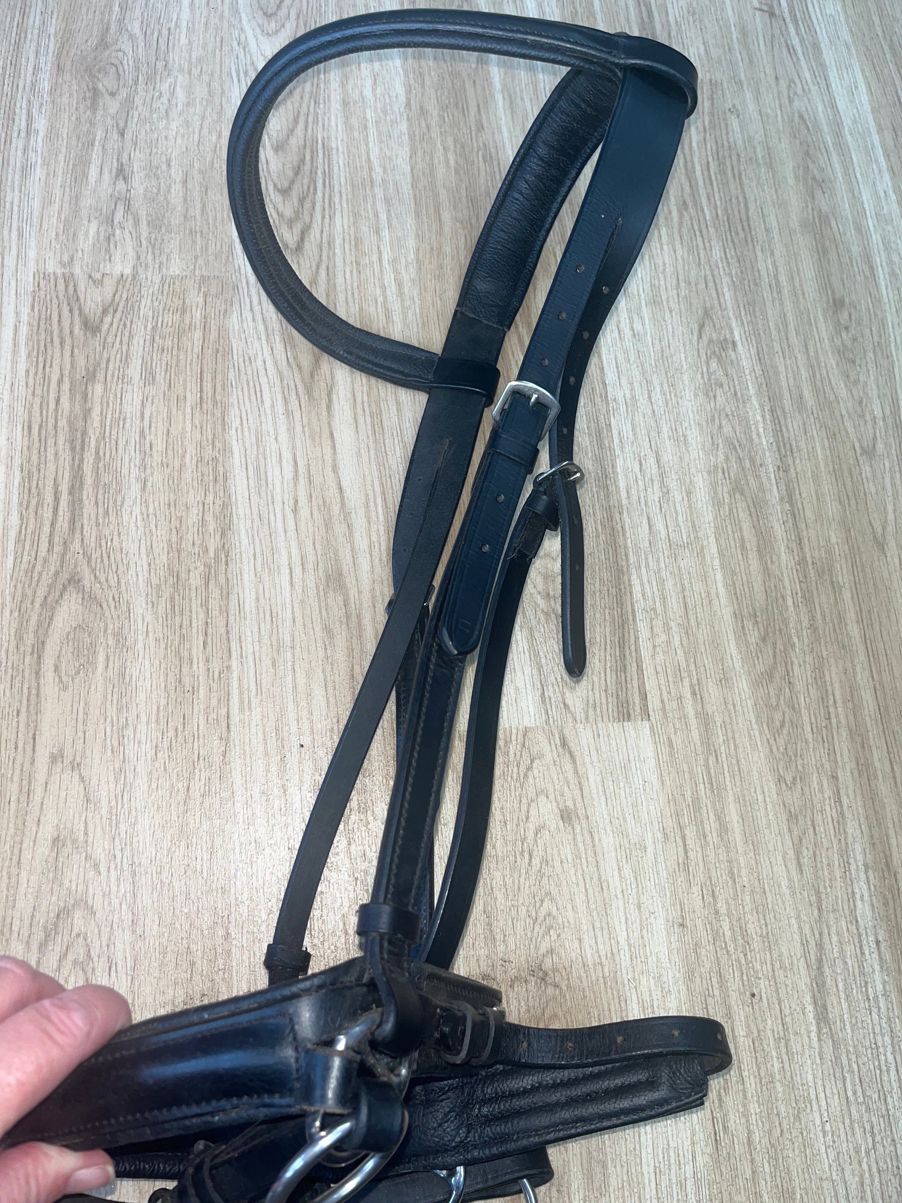 Bitless Bridle Black Full #56