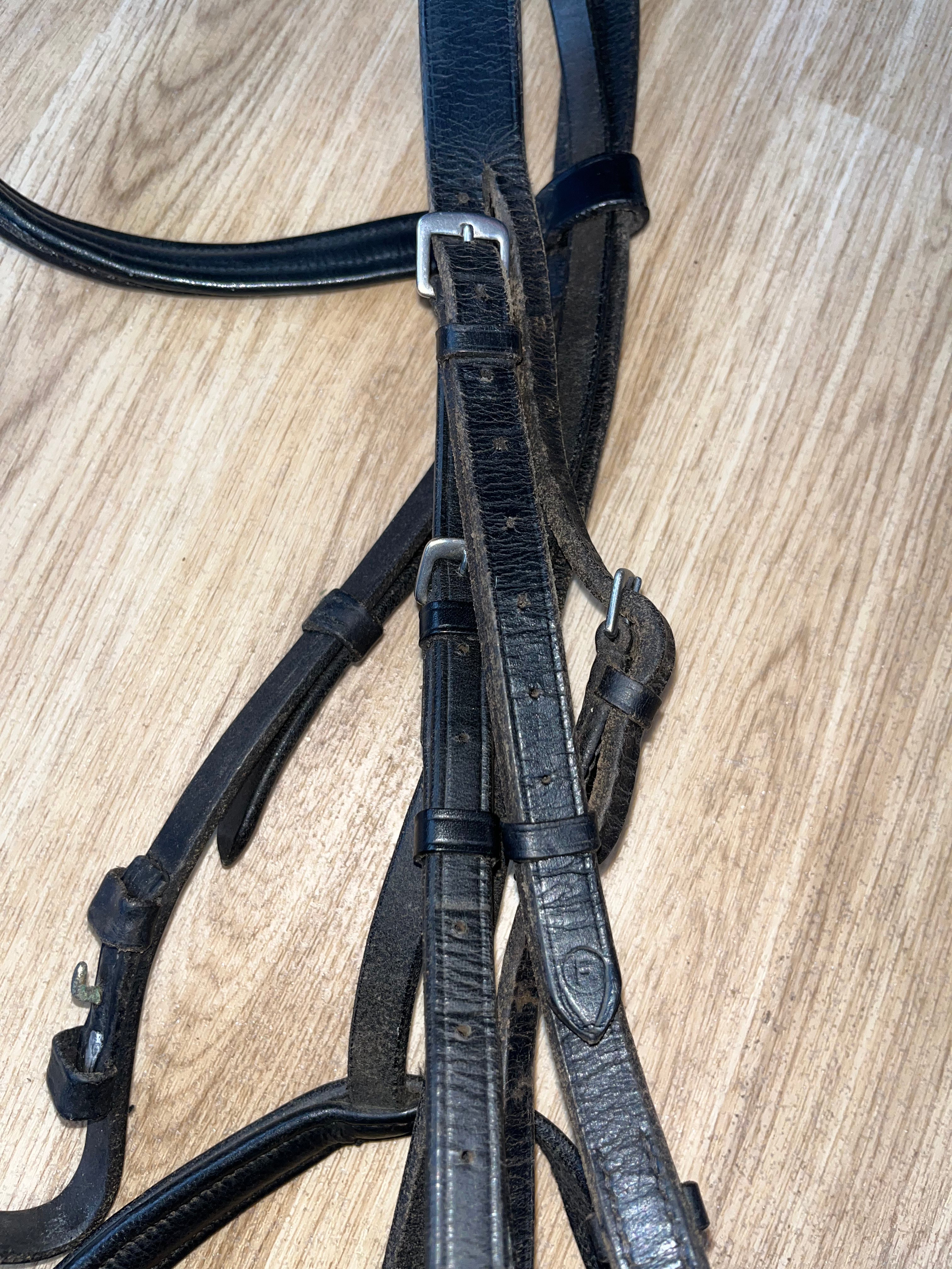 Black Bridle Full Everyday #37