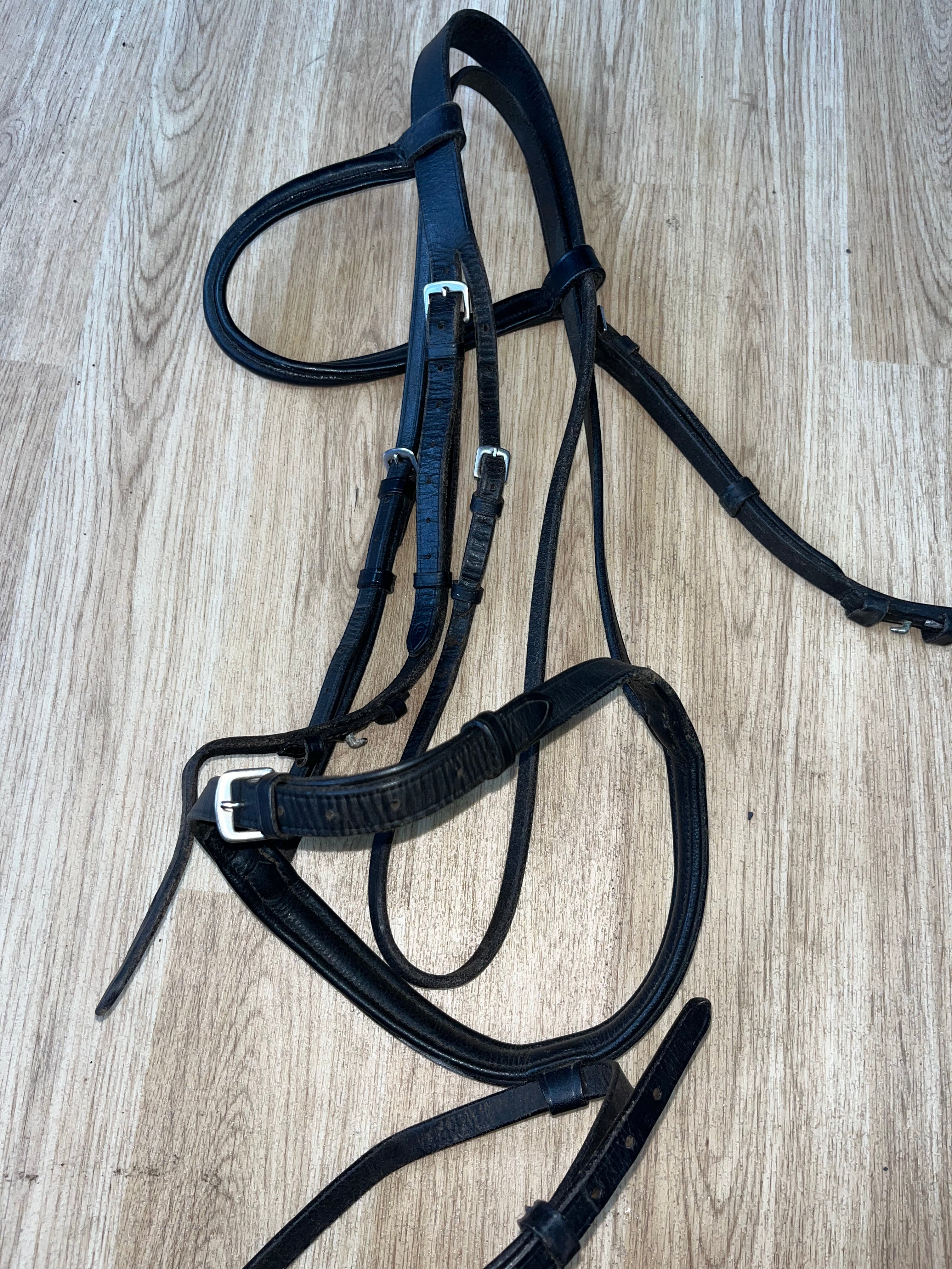 Black Bridle Full Everyday #37