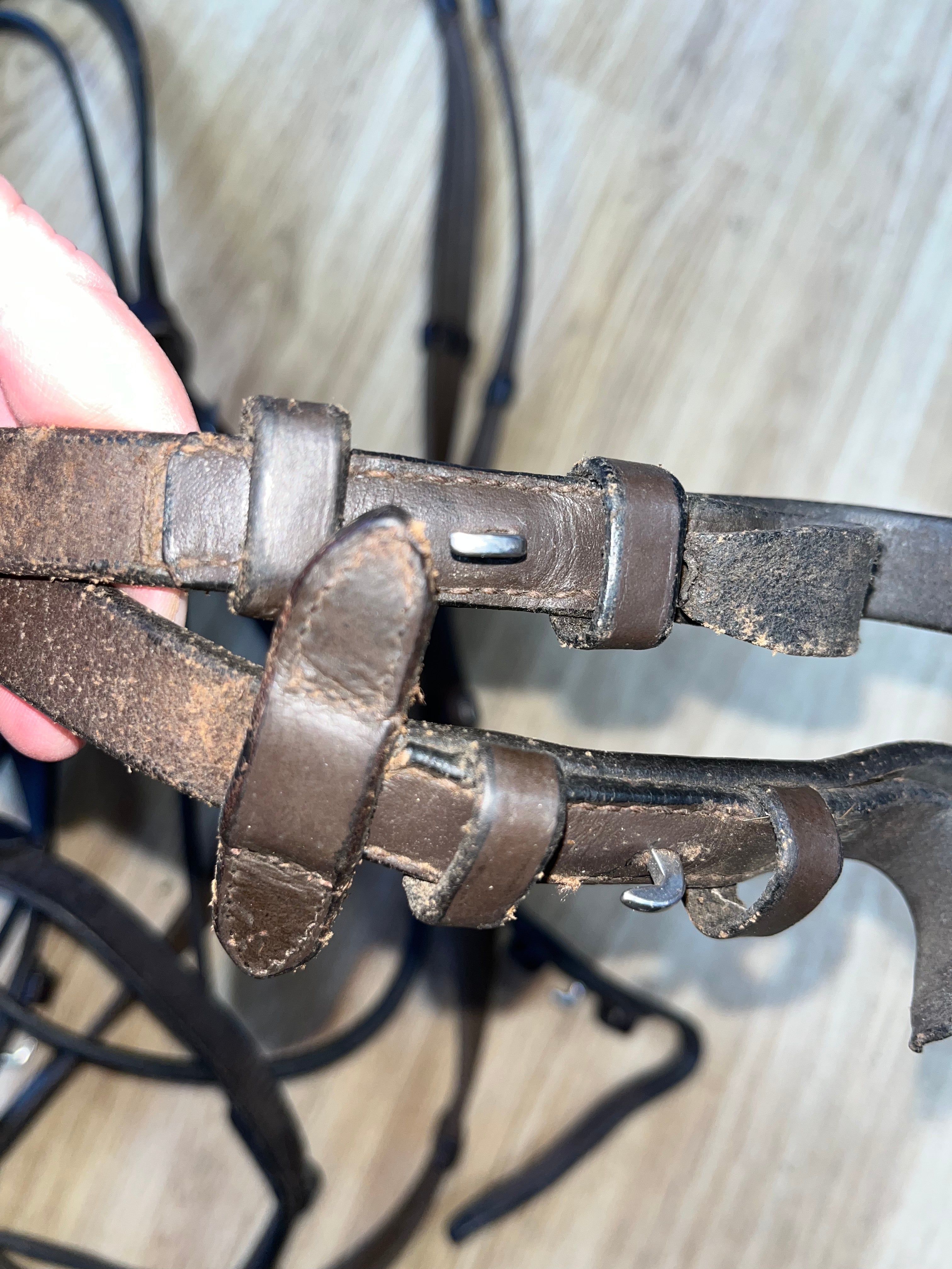 Brown Bridle Full / Webbing Reins #40