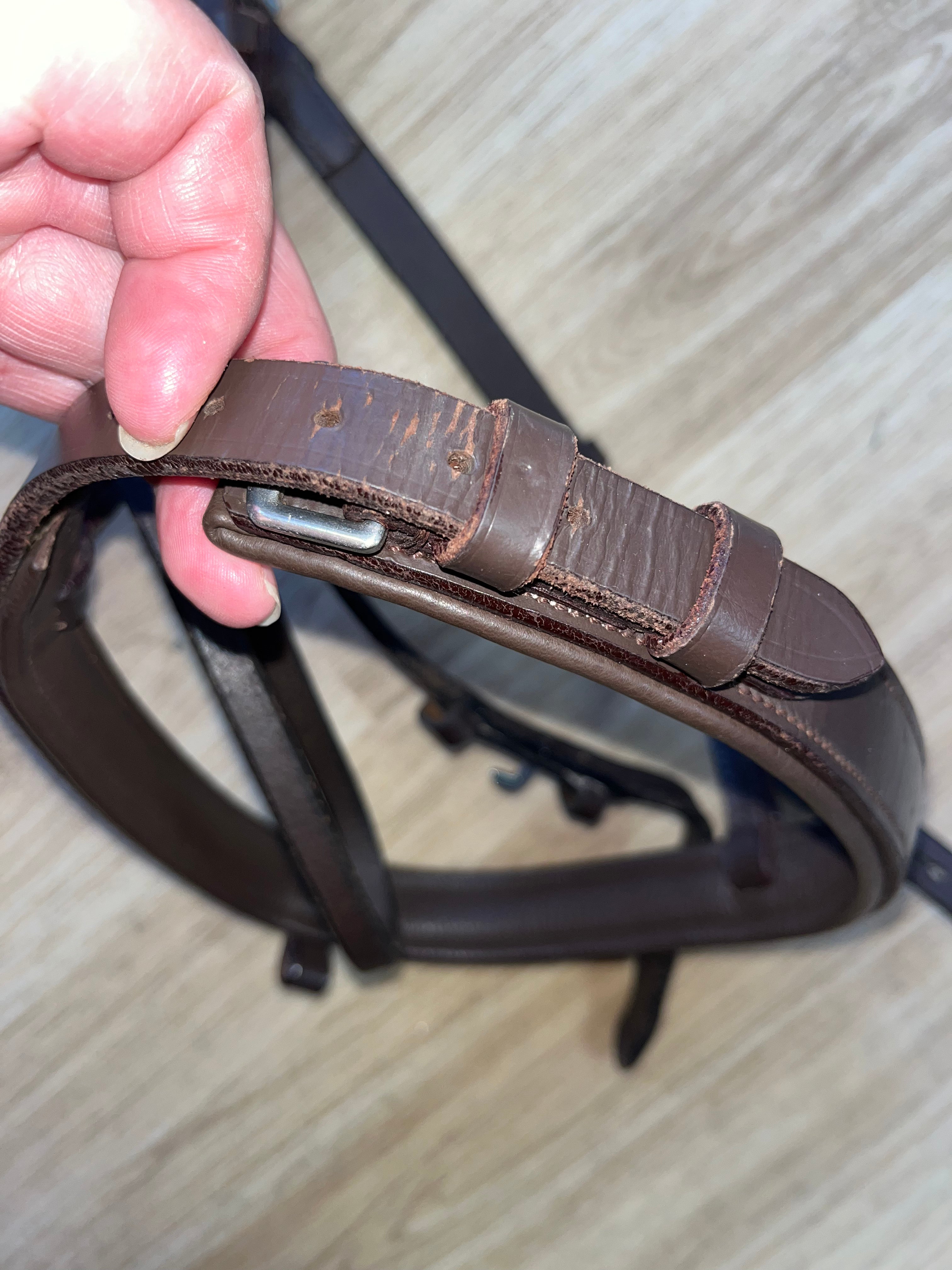 Brown Bridle Full #42