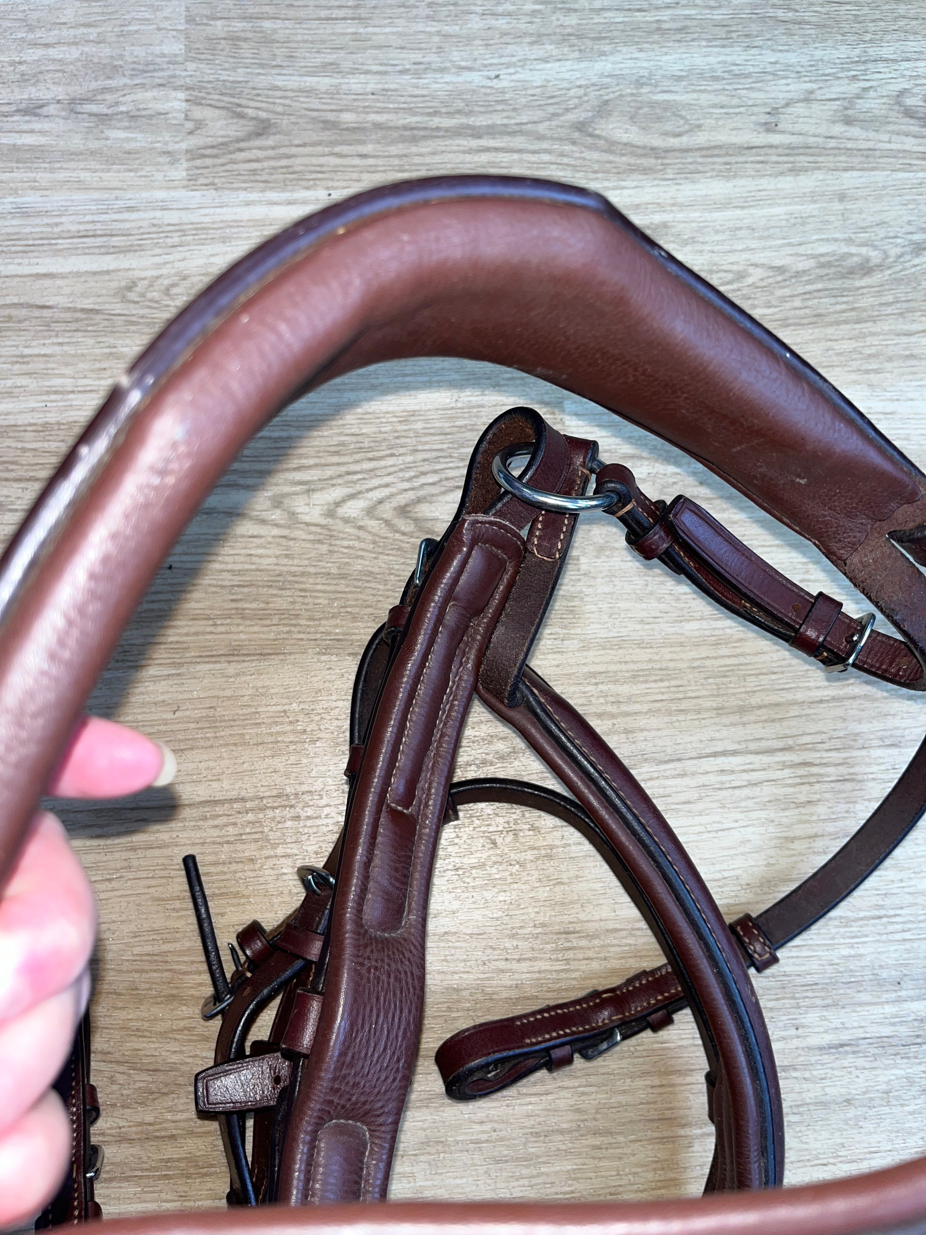 Anatomical Bridle Full Rich Brown