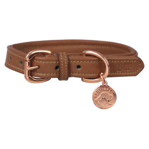 Benji & Flo Deluxe Padded Leather Dog Collar