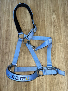 Cob Headcollar