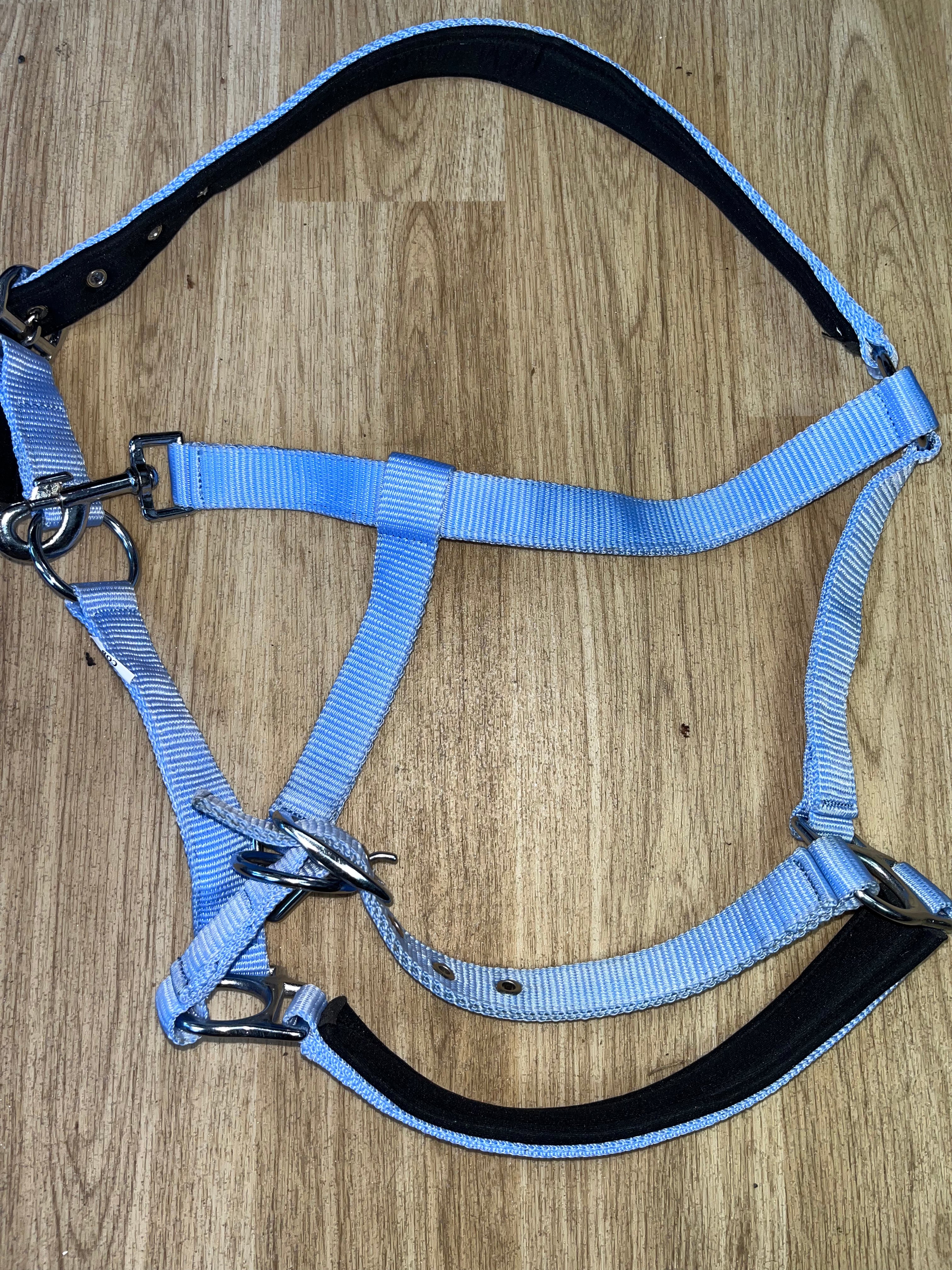 Cob Headcollar