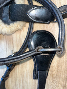 5 Point Breastplate Pony Black