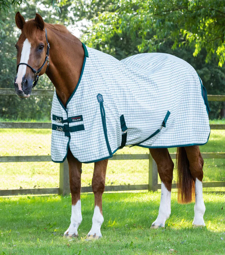 Premier equine Cotton Sheet Check