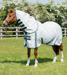 Premier equine Combo Cotton Sheet check