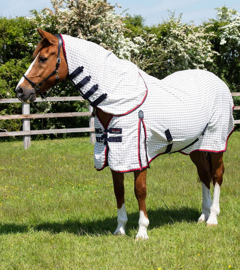 Premier equine Combo Cotton Sheet check