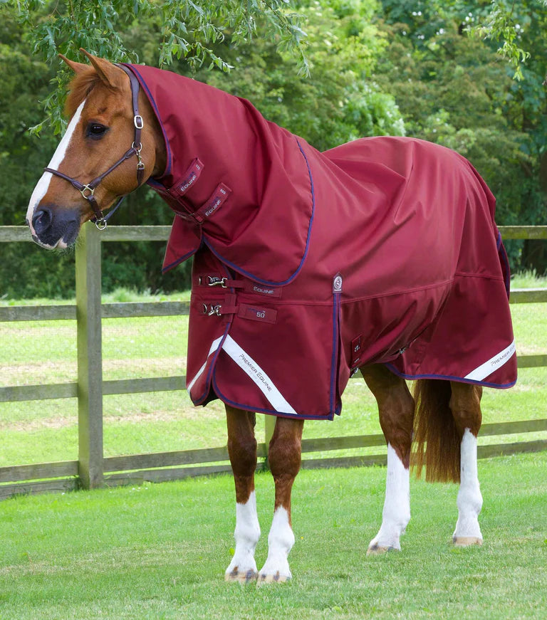 Titan 50g Turnout Rug with Classic Neck Cover Burgundy