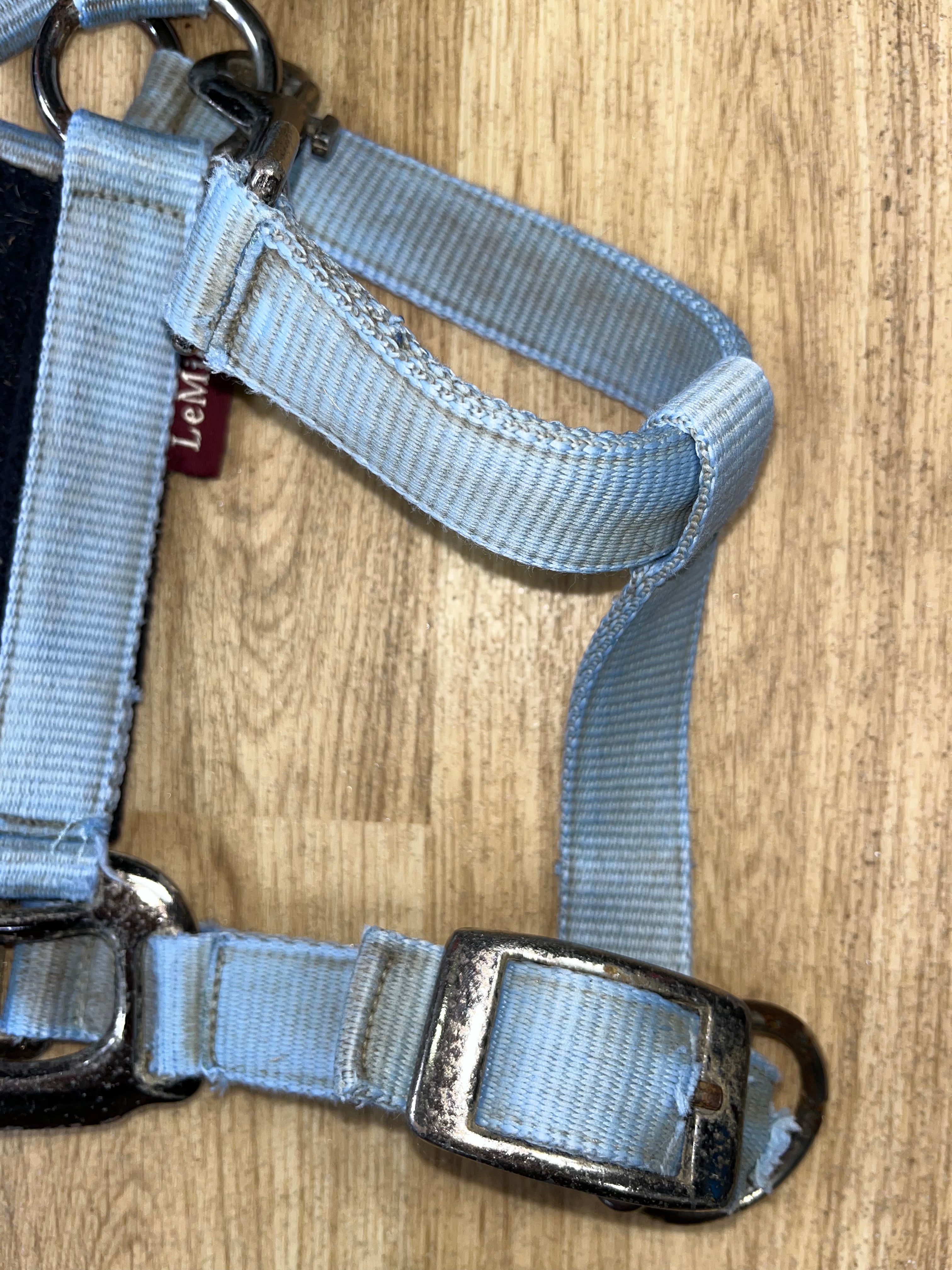 Lemieux Comfort Headcollar Pony