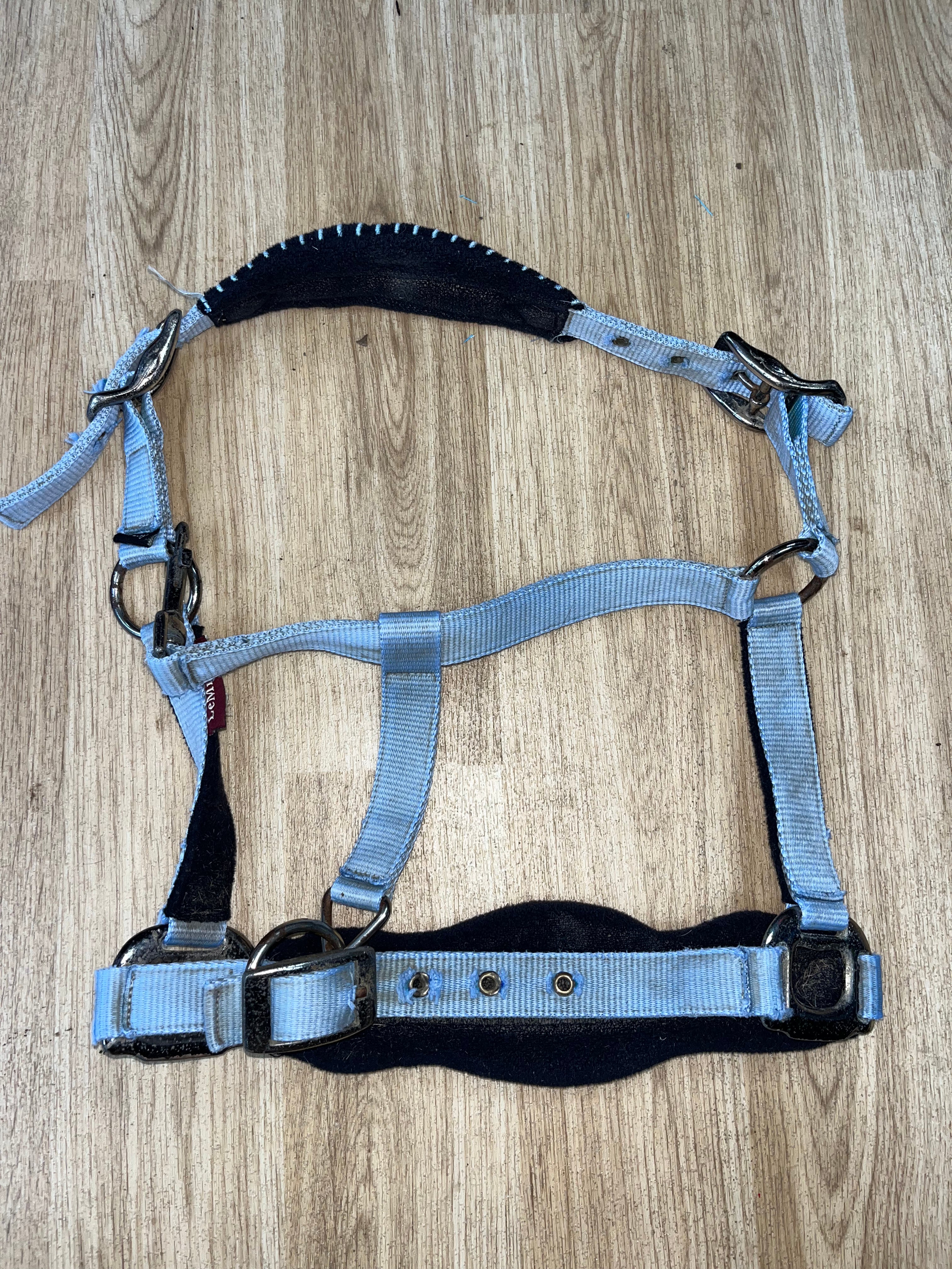 Lemieux Comfort Headcollar Pony