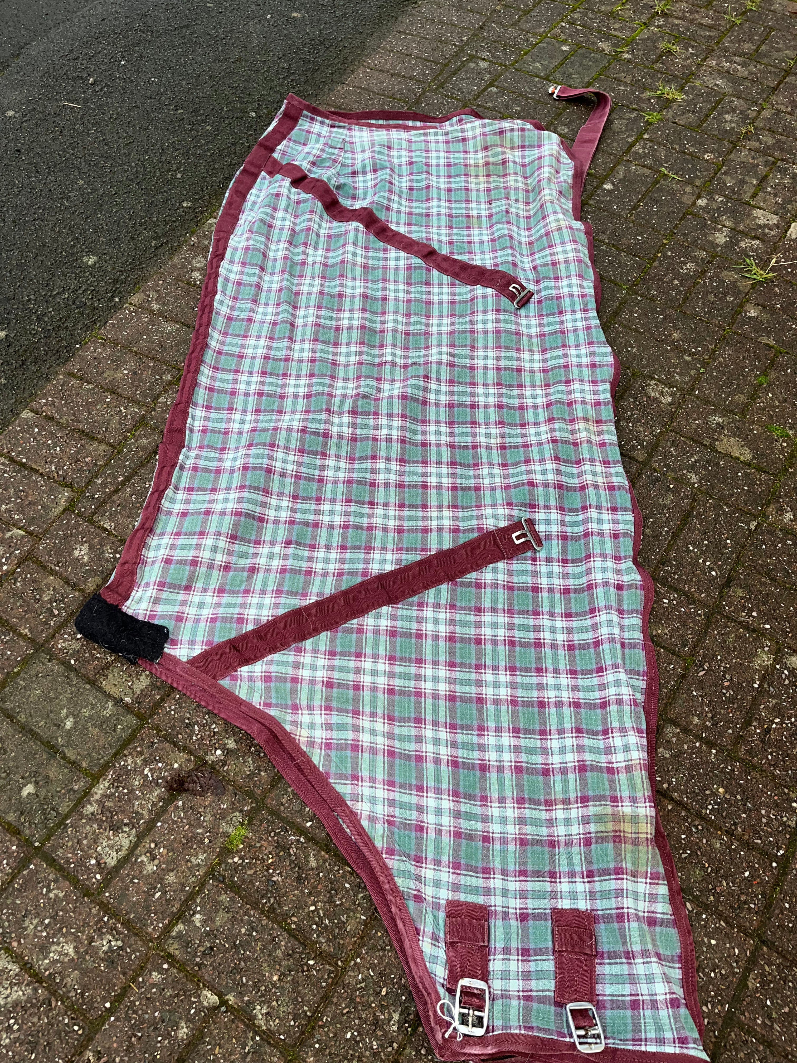 Summer / Stable Sheet Rug 6’3