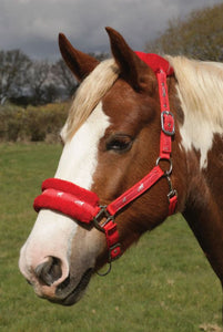 Fluffy Horse Print Headcollar