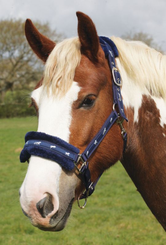 Fluffy Horse Print Headcollar