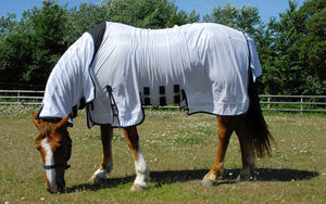 Rhinegold Sahara Fly Combo Rug Rrp £43.50