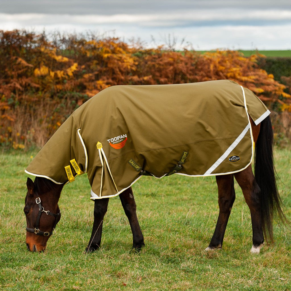 Gallop Toofan 2100denier 200gm Combo Turnout Rug