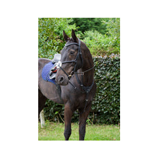 Cameo Anatomical Grackle Bridle & Reins