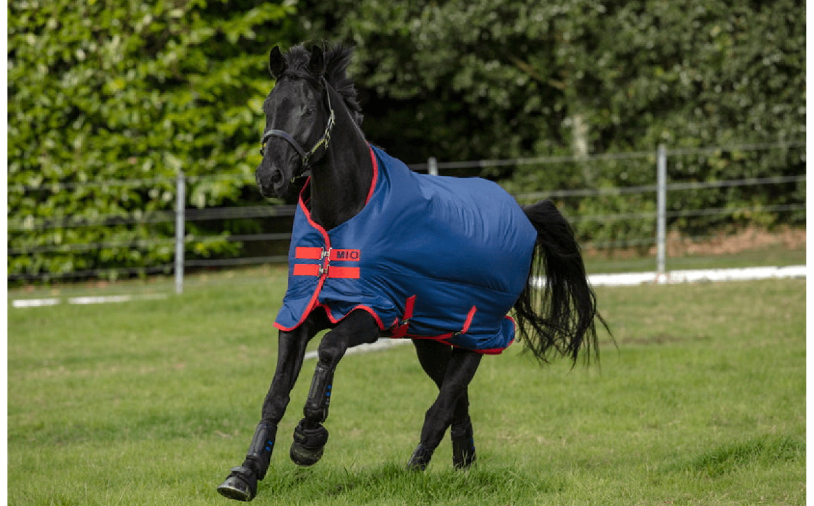 Amigo Mio 200gm 6’9 Turnout Rug