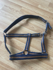 Navy & Orange Pony Headcollar