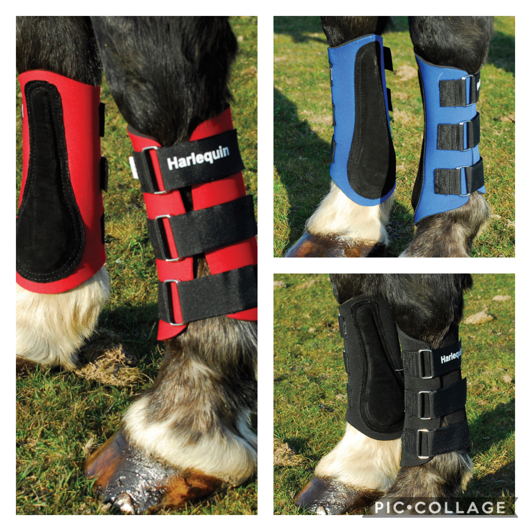 Harlequin Neoprene Brushing Boots - Pony Cob Full