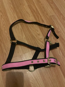 Pink & Black Pony Headcollar