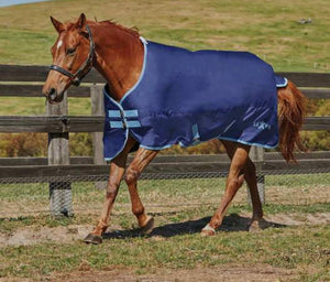 Saxon 7ft No Fill Turnout Rug