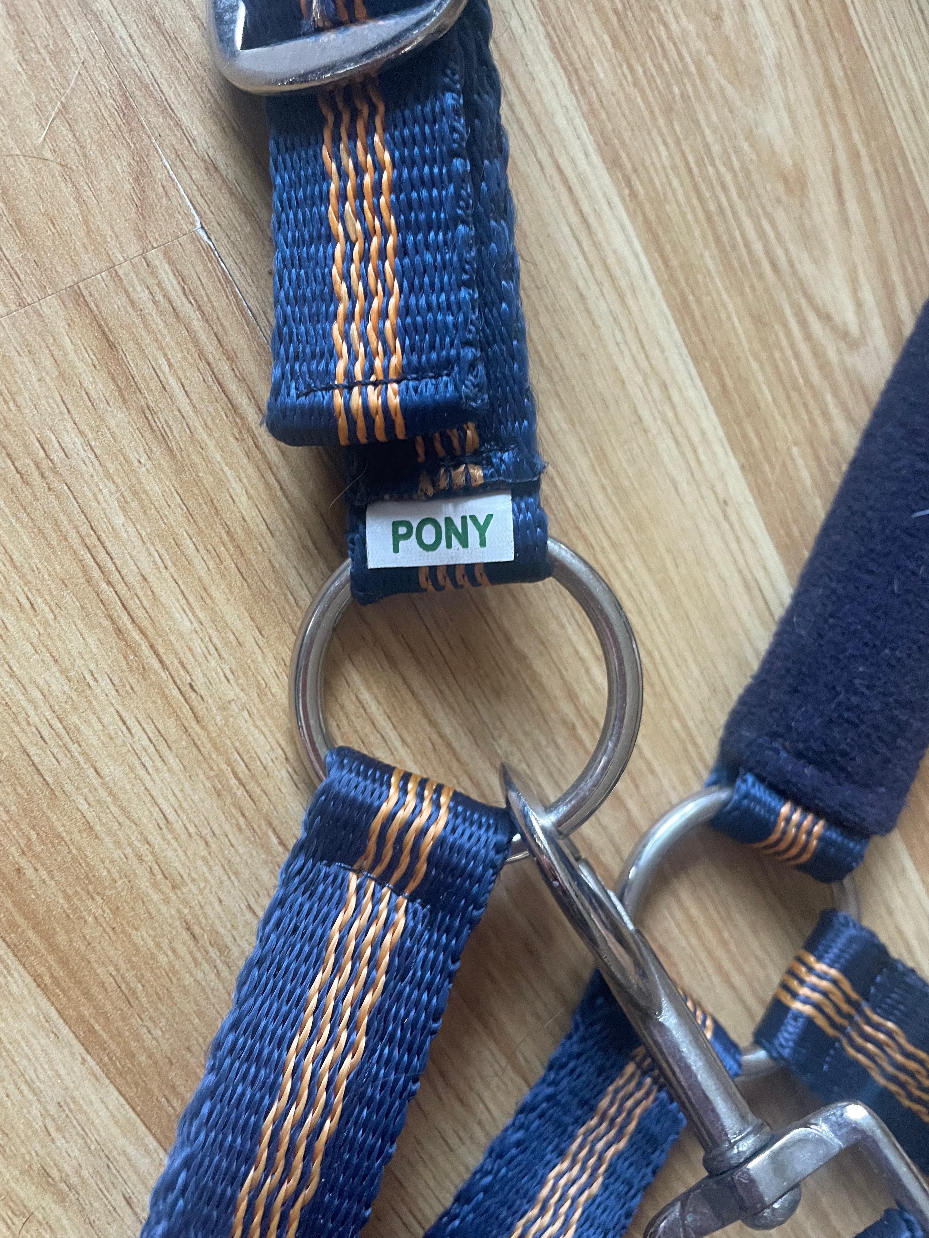 Navy & Orange Pony Headcollar