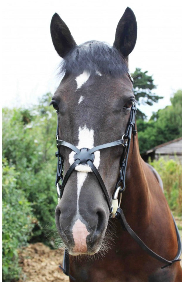 Sheldon Grackle Bridle & Flexi Rubber Reins