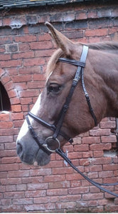 Sheldon Raised Flash Bridle & Rubber Reins