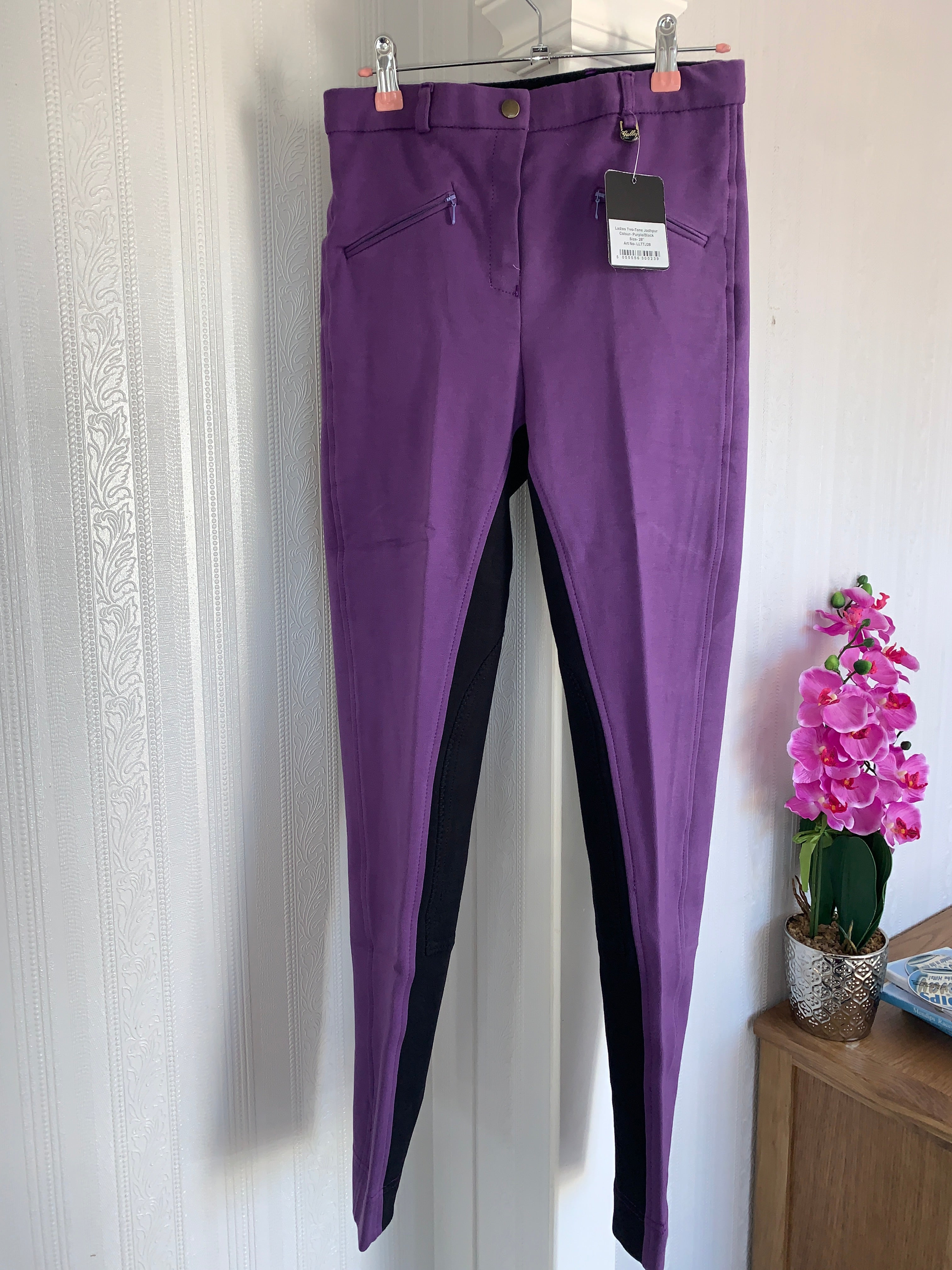 Gallop Purple & Black Jodphurs - Ladies 24” 38” 40” 28”