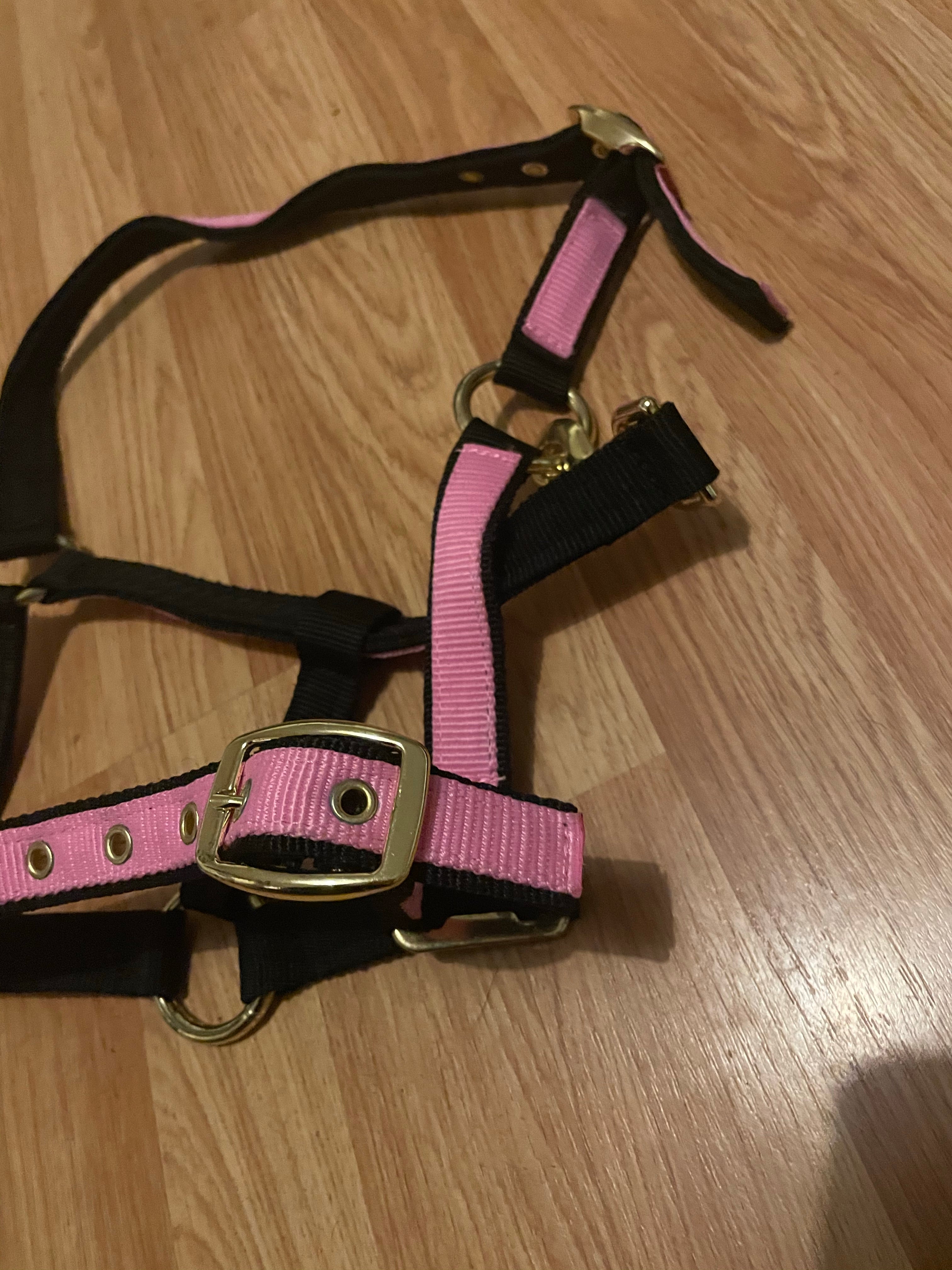 Pink & Black Pony Headcollar