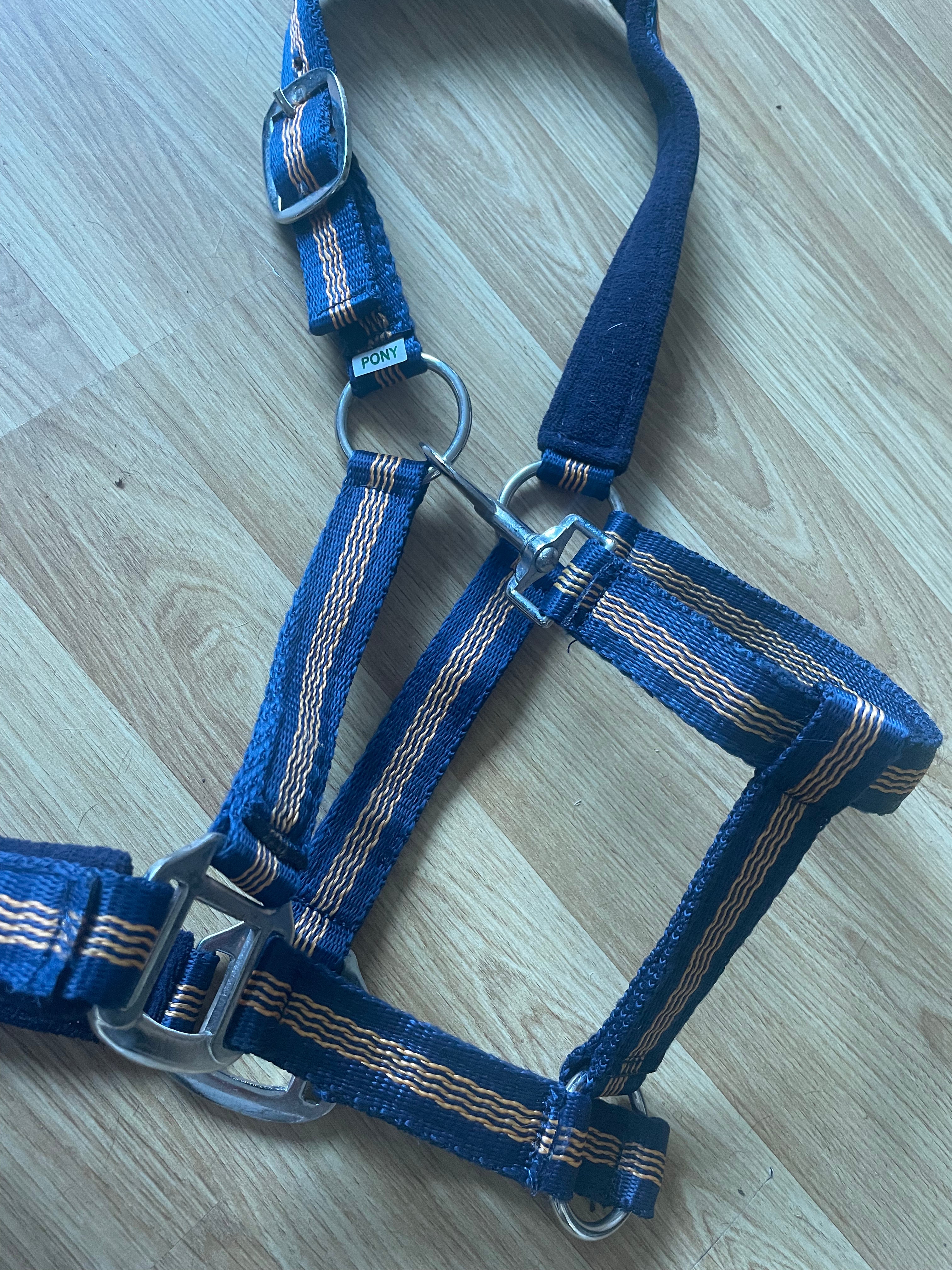 Navy & Orange Pony Headcollar